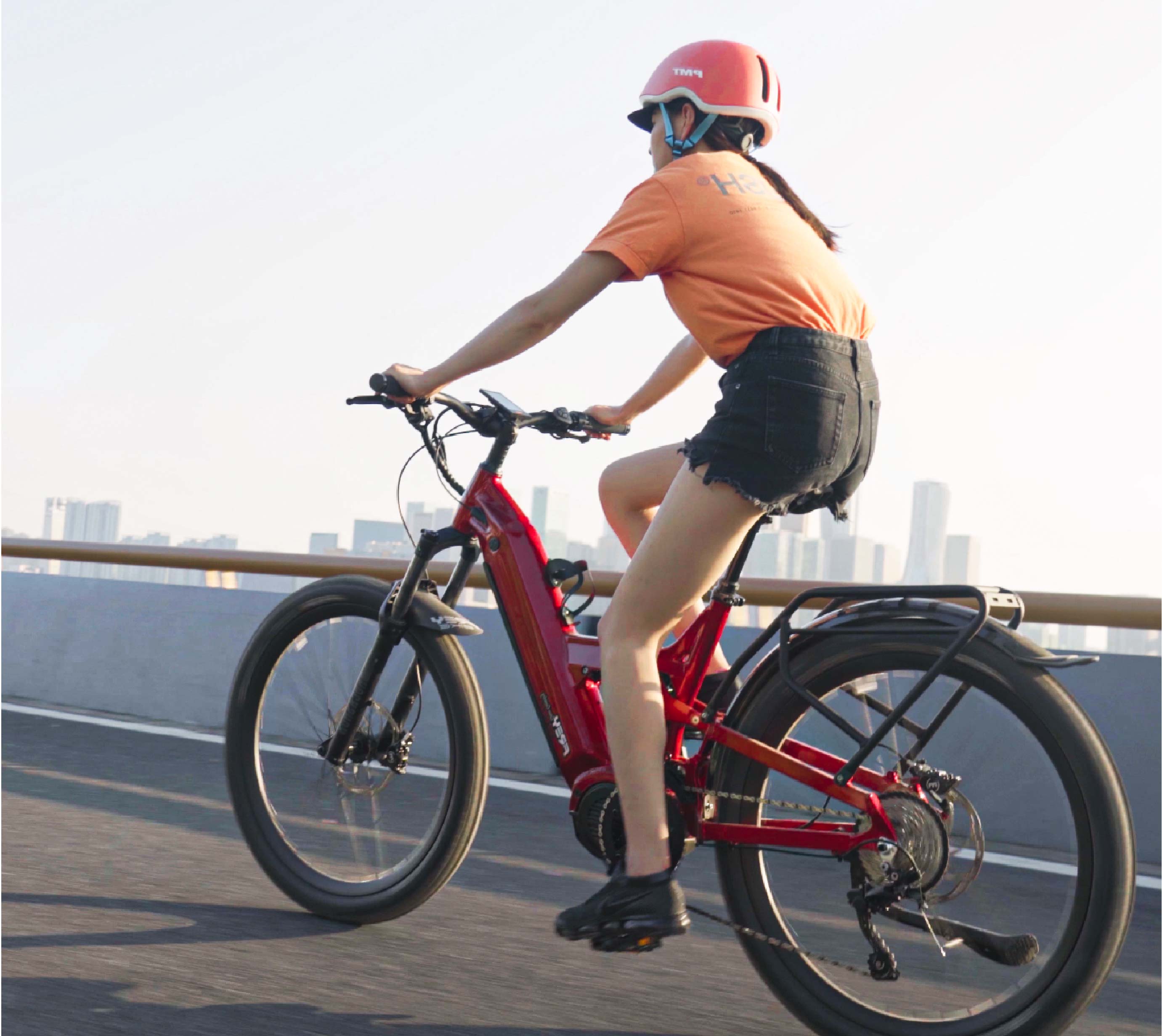 frey cc ebike