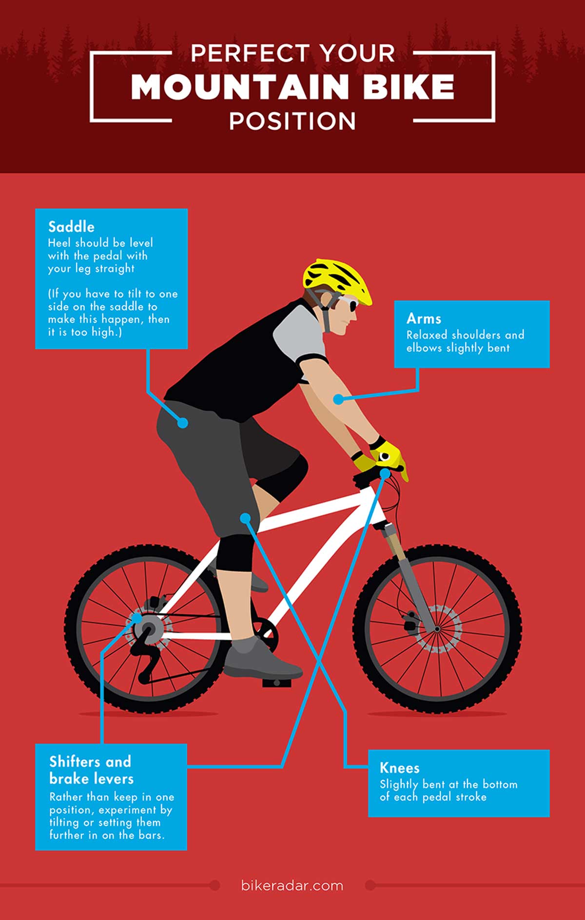 For e mtb Beginners What Is the Correct Mountain Bike Riding Position