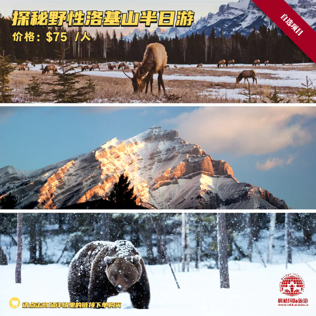 玩转加拿大冬季落基山-雪国缤纷畅游埃德蒙顿3天2晚 MBIYEGLOCAL03