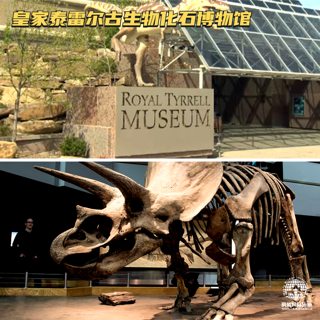 恐龙谷和皇家特里尔博物馆一日游