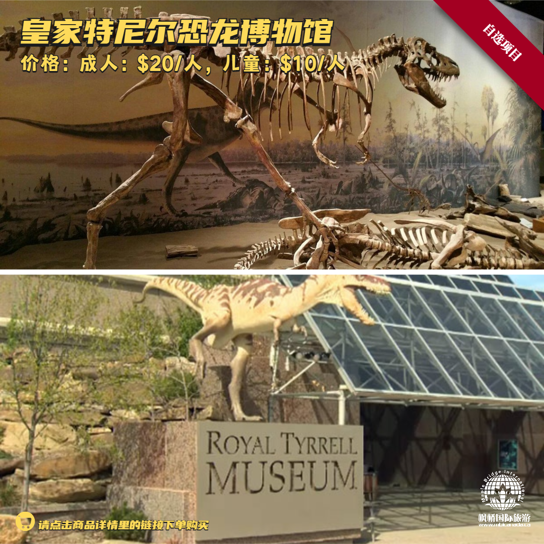 【自选项目】皇家特尼尔恐龙博物馆
