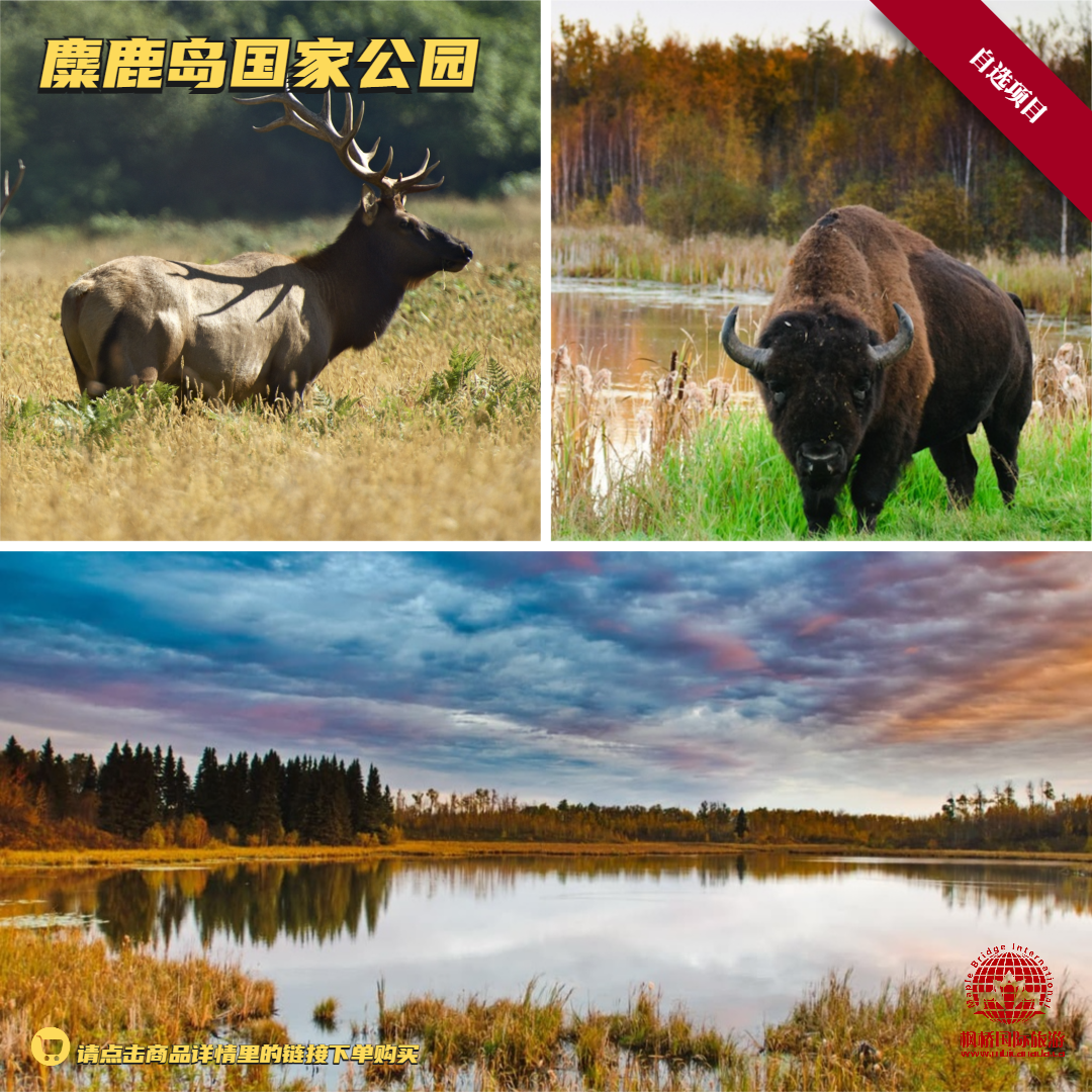 【自选项目】麋鹿岛国家公园