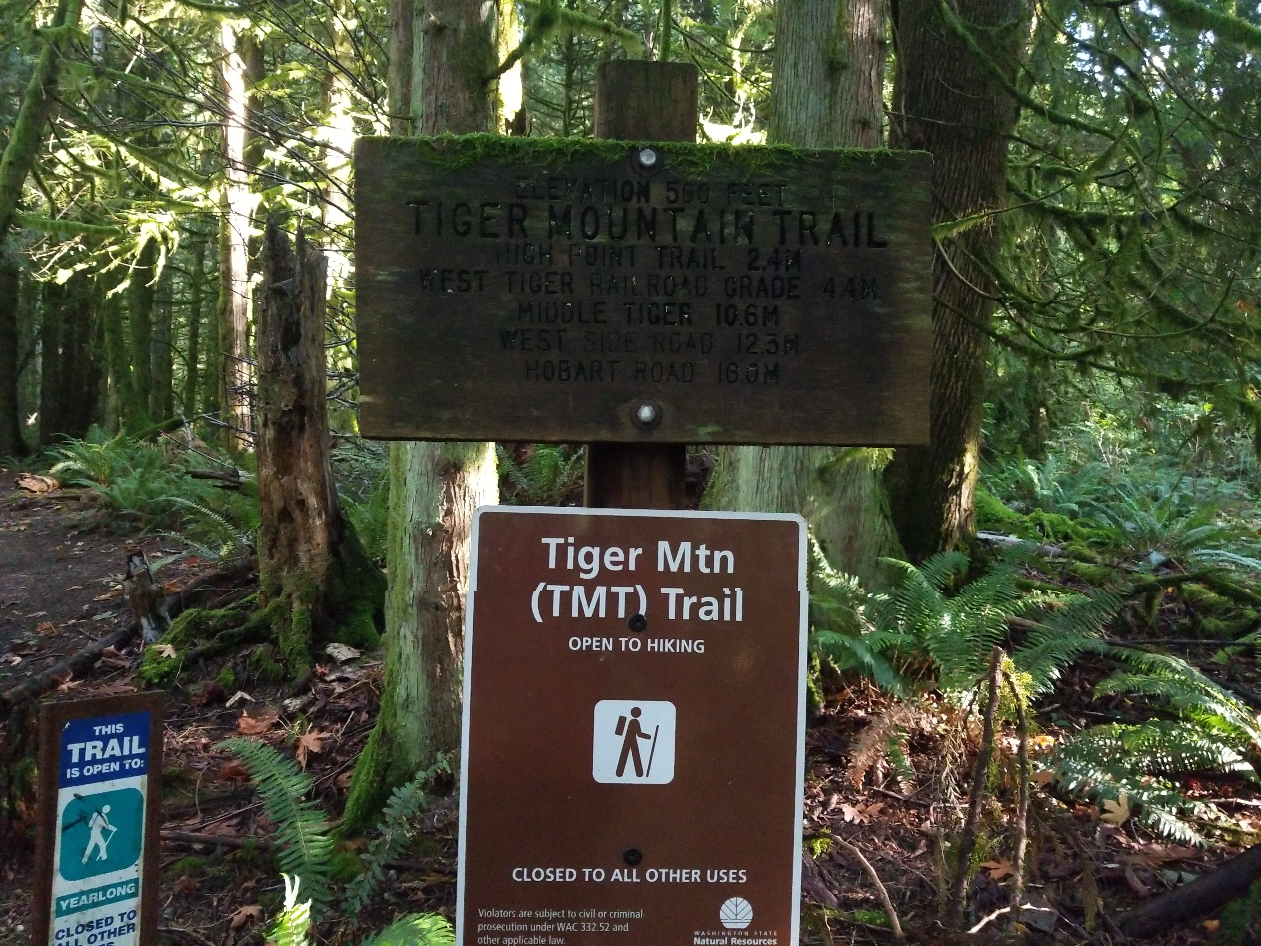 Tiger Mountain Trail