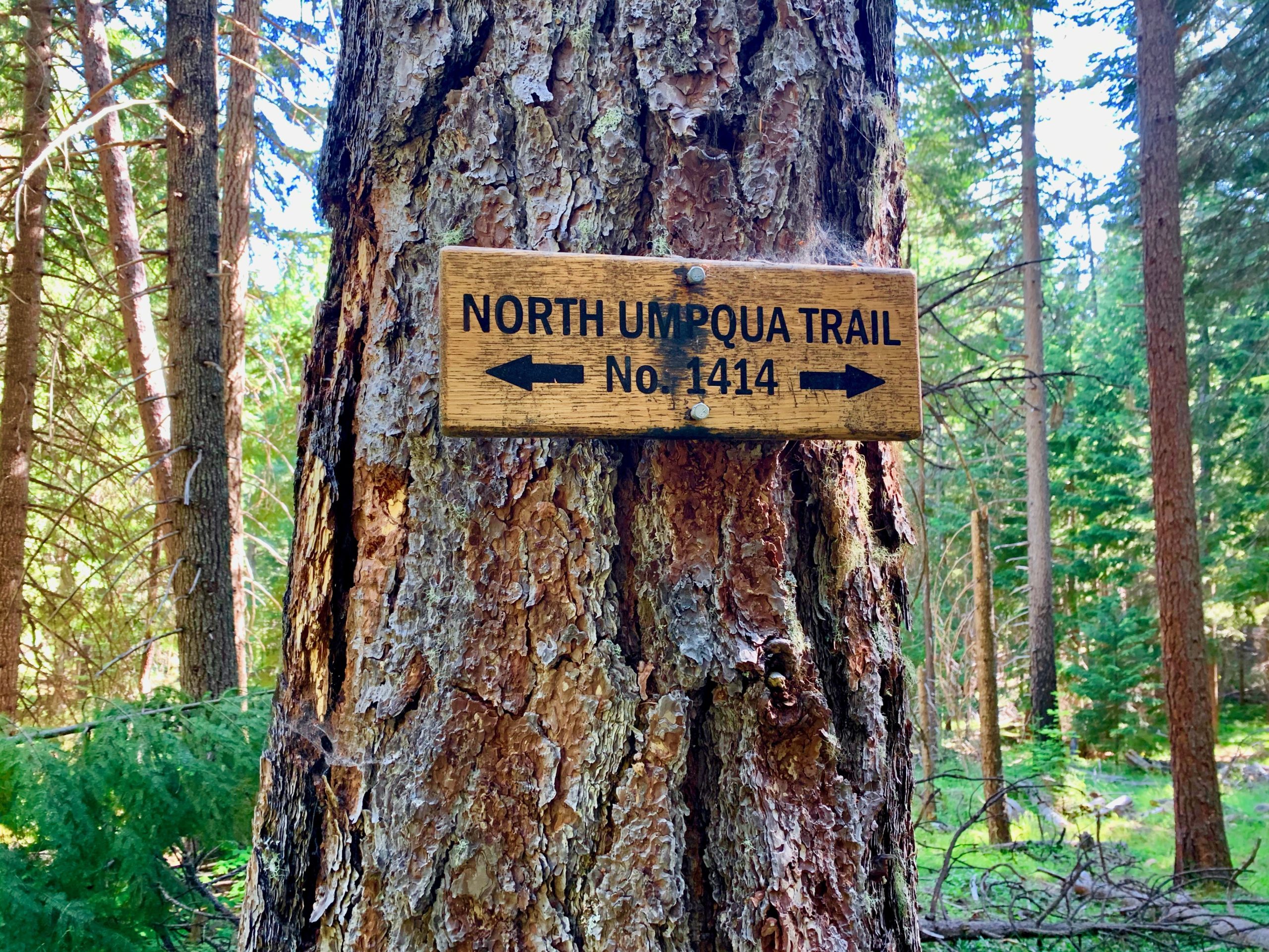 North Umpqua Trail