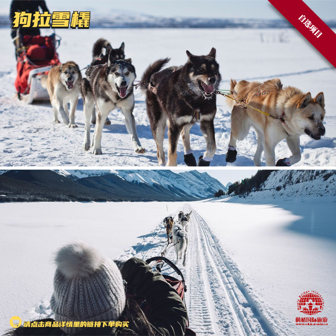 【自选项目】狗拉雪橇