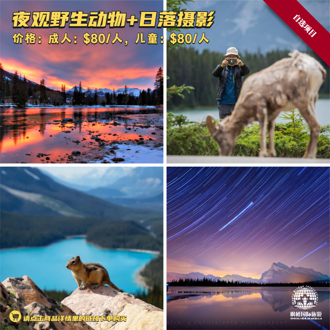 【自选项目】夜观野生动物+日落摄影